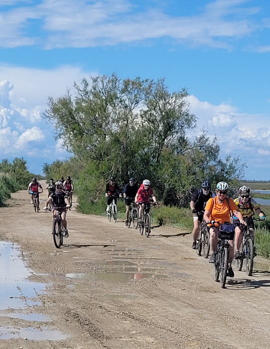 Après les échappés, le peloton !!
