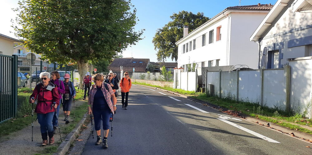 Mardi 8 Octobre 2024: Gujans - Mestra   -   Audenge (19,5km; D+ 18m )
