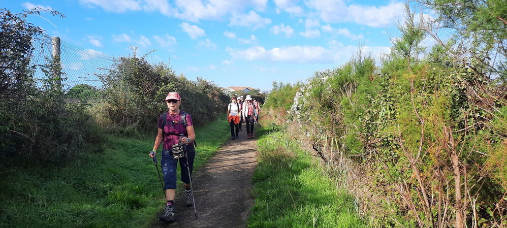 Sur le chemin deu parc ornithologique du Teich
