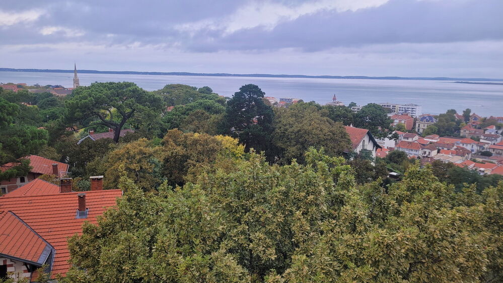 On admire le Bassin ....
