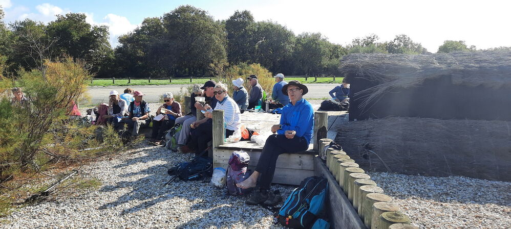 Pique-nique à Lanton
