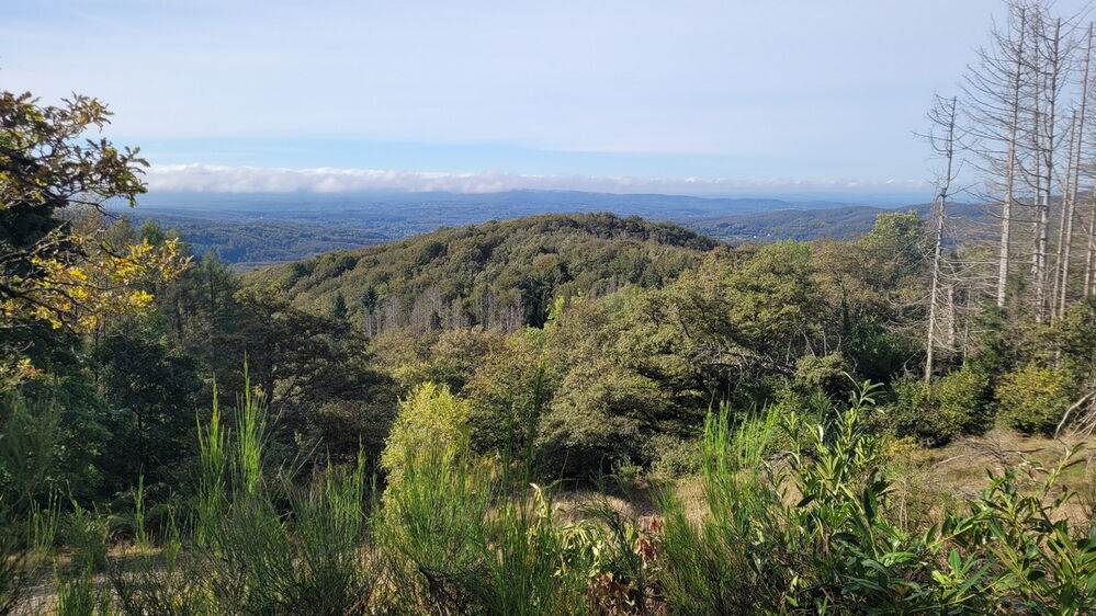 Panorama sur les environs de Belfort
