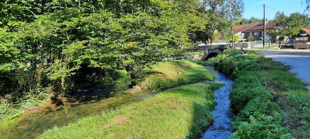 Le long de la Morthe
