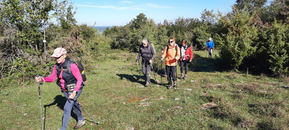 Sur la pelouse sèche

