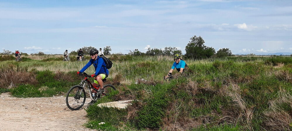 Jeudi 16 Mai: Saintes Marie de La Mer - Arles  63km                Nous retrouvons la Digue à la Mer
