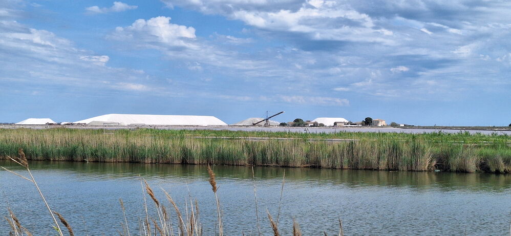 Les salins du midi
