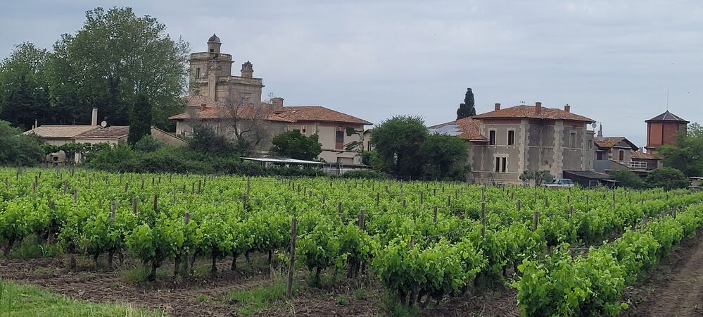 ... etsesvignes produisant le Rosé des sables
