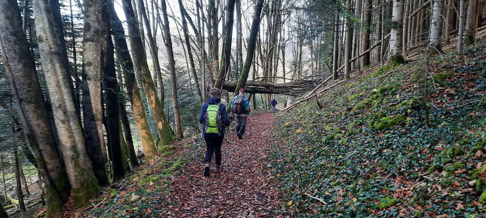 sur le chemin du retour
