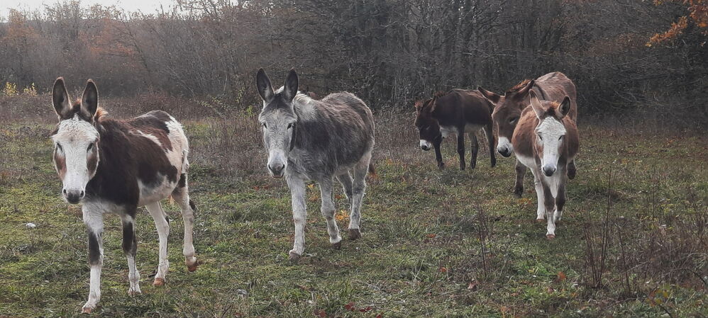Non, ce n'est pas le groupe USN !!!

