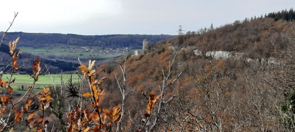 Au loin, les ruines de Chassagne Saint Denis
