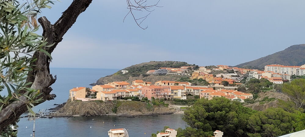 Dimanche 18 Juin: après un long voyage, arrivée à Collioure

