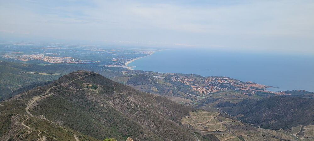 Au loin : Collioure et Port Vendres
