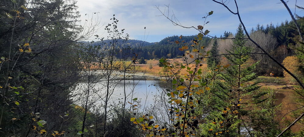 L'automne est bien là
