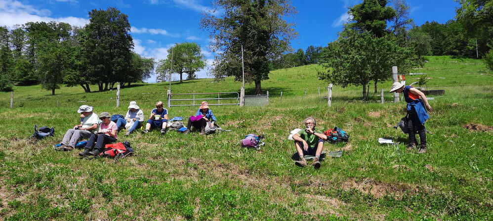 Pique-nique près de la ferme Montavon
