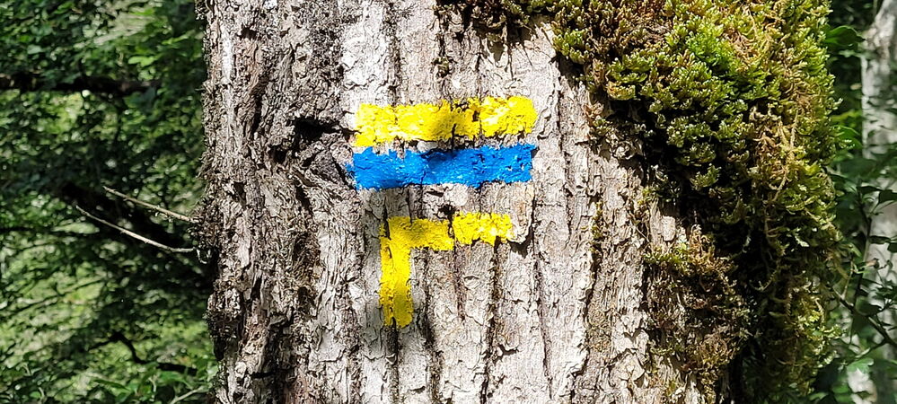 Quelle belle balise !!!
