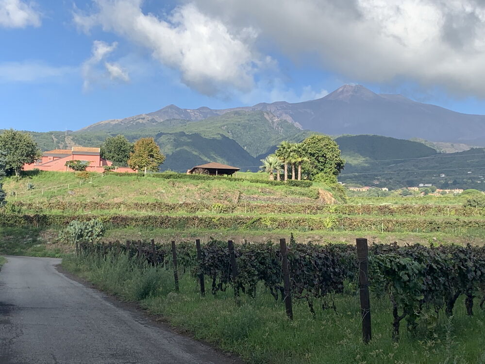 Notre premier hébergement à Murgo au pied de l'Etna et au milieu des vignes 
