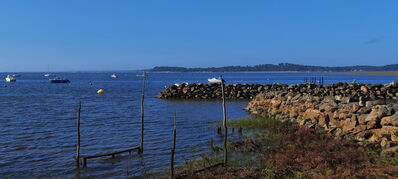 Nom du fichier=Arcachon_site_100.jpg
Taille du fichier=405Ko
Dimensions : 1556x700
Ajouté le : 03 Janvier 2025 Arcachon_site_100.jpg