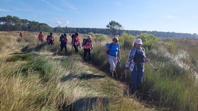 Nom du fichier=Arcachon_site_103.jpg
Taille du fichier=452Ko
Dimensions : 1244x700
Ajouté le : 03 Janvier 2025 Arcachon_site_103.jpg