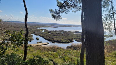 Nom du fichier=Arcachon_site_107.jpg
Taille du fichier=422Ko
Dimensions : 1244x700
Ajouté le : 03 Janvier 2025 Arcachon_site_107.jpg