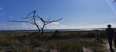 Nom du fichier=Arcachon_site_108.jpg
Taille du fichier=282Ko
Dimensions : 1556x700
Ajouté le : 03 Janvier 2025 Arcachon_site_108.jpg