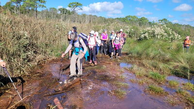 Nom du fichier=Arcachon_site_109.jpg
Taille du fichier=558Ko
Dimensions : 1244x700
Ajouté le : 03 Janvier 2025 Arcachon_site_109.jpg