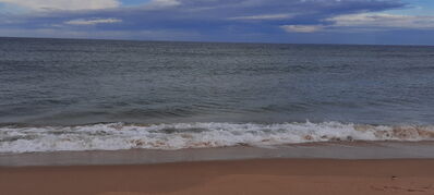 Nom du fichier=Arcachon_site_115.jpg
Taille du fichier=318Ko
Dimensions : 1556x700
Ajouté le : 03 Janvier 2025 Arcachon_site_115.jpg