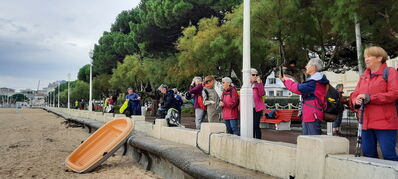 Nom du fichier=Arcachon_site_15.jpg
Taille du fichier=514Ko
Dimensions : 1556x700
Ajouté le : 03 Janvier 2025 Arcachon_site_15.jpg