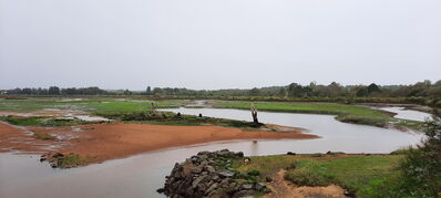 Nom du fichier=Arcachon_site_28.jpg
Taille du fichier=304Ko
Dimensions : 1556x700
Ajouté le : 03 Janvier 2025 Arcachon_site_28.jpg