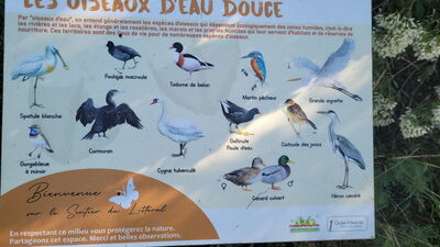 Nom du fichier=Arcachon_site_39.jpg
Taille du fichier=293Ko
Dimensions : 1244x700
Ajouté le : 03 Janvier 2025 Arcachon_site_39.jpg