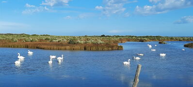 Nom du fichier=Arcachon_site_40.jpg
Taille du fichier=336Ko
Dimensions : 1556x700
Ajouté le : 03 Janvier 2025 Arcachon_site_40.jpg