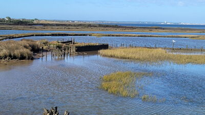 Nom du fichier=Arcachon_site_42.jpg
Taille du fichier=409Ko
Dimensions : 1244x700
Ajouté le : 03 Janvier 2025 Arcachon_site_42.jpg