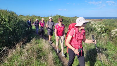 Nom du fichier=Arcachon_site_46.jpg
Taille du fichier=486Ko
Dimensions : 1244x700
Ajouté le : 03 Janvier 2025 Arcachon_site_46.jpg