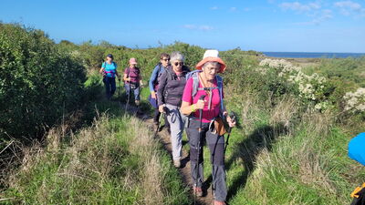 Nom du fichier=Arcachon_site_47.jpg
Taille du fichier=512Ko
Dimensions : 1244x700
Ajouté le : 03 Janvier 2025 Arcachon_site_47.jpg