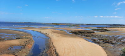 Nom du fichier=Arcachon_site_50.jpg
Taille du fichier=341Ko
Dimensions : 1556x700
Ajouté le : 03 Janvier 2025 Arcachon_site_50.jpg