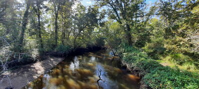 Nom du fichier=Arcachon_site_53.jpg
Taille du fichier=757Ko
Dimensions : 1556x700
Ajouté le : 03 Janvier 2025 Arcachon_site_53.jpg