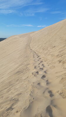 Nom du fichier=Arcachon_site_59.jpg
Taille du fichier=90Ko
Dimensions : 394x700
Ajouté le : 03 Janvier 2025 Arcachon_site_59.jpg