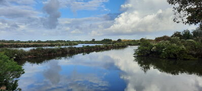 Nom du fichier=Arcachon_site_71.jpg
Taille du fichier=339Ko
Dimensions : 1556x700
Ajouté le : 03 Janvier 2025 Arcachon_site_71.jpg