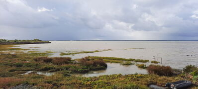 Nom du fichier=Arcachon_site_76.jpg
Taille du fichier=369Ko
Dimensions : 1556x700
Ajouté le : 03 Janvier 2025 Arcachon_site_76.jpg