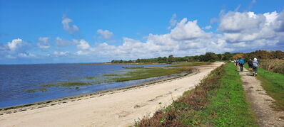 Nom du fichier=Arcachon_site_82.jpg
Taille du fichier=415Ko
Dimensions : 1556x700
Ajouté le : 03 Janvier 2025 Arcachon_site_82.jpg