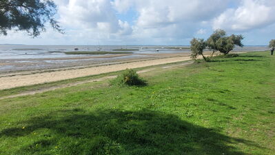 Nom du fichier=Arcachon_site_87.jpg
Taille du fichier=404Ko
Dimensions : 1241x700
Ajouté le : 03 Janvier 2025 Arcachon_site_87.jpg