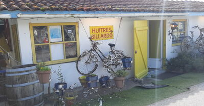 Nom du fichier=Arcachon_site_91.jpg
Taille du fichier=392Ko
Dimensions : 1343x700
Ajouté le : 03 Janvier 2025 Arcachon_site_91.jpg