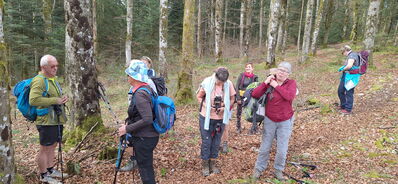 Nom du fichier=Col_du_Tonet_-007.jpg
Taille du fichier=759Ko
Dimensions : 1516x700
Ajouté le : 04 Mai 2024 Col_du_Tonet_-007.jpg