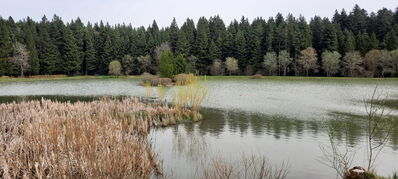 Nom du fichier=Col_du_Tonet_-016.jpg
Taille du fichier=592Ko
Dimensions : 1556x700
Ajouté le : 04 Mai 2024 Col_du_Tonet_-016.jpg