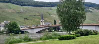 Moselle_site_49.jpg