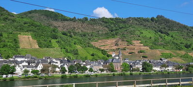 Moselle_site_87.jpg